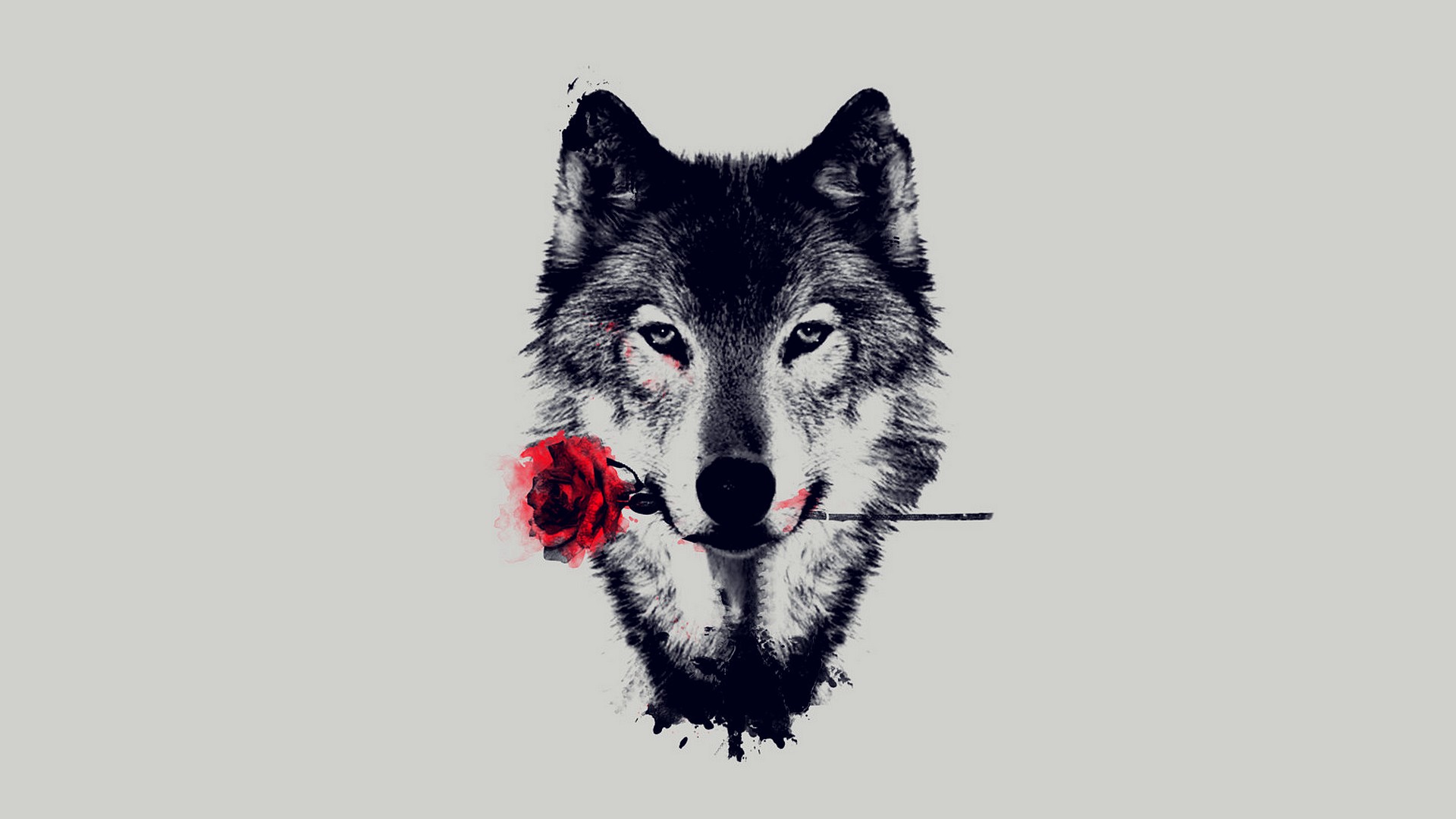 Wolf Art image HD