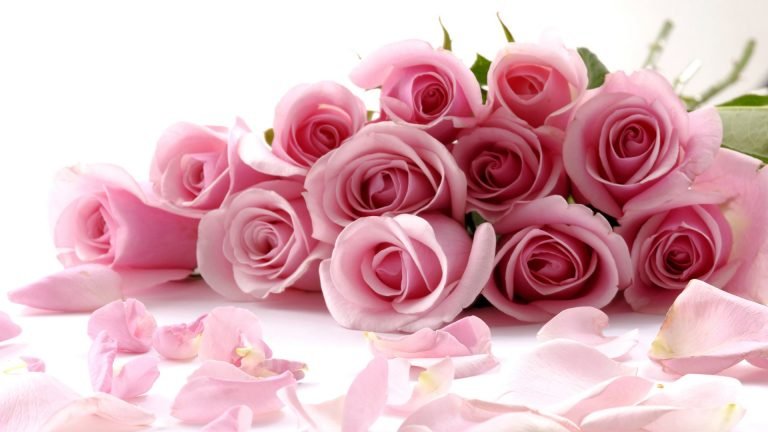 beautiful flower images 2018 picture
