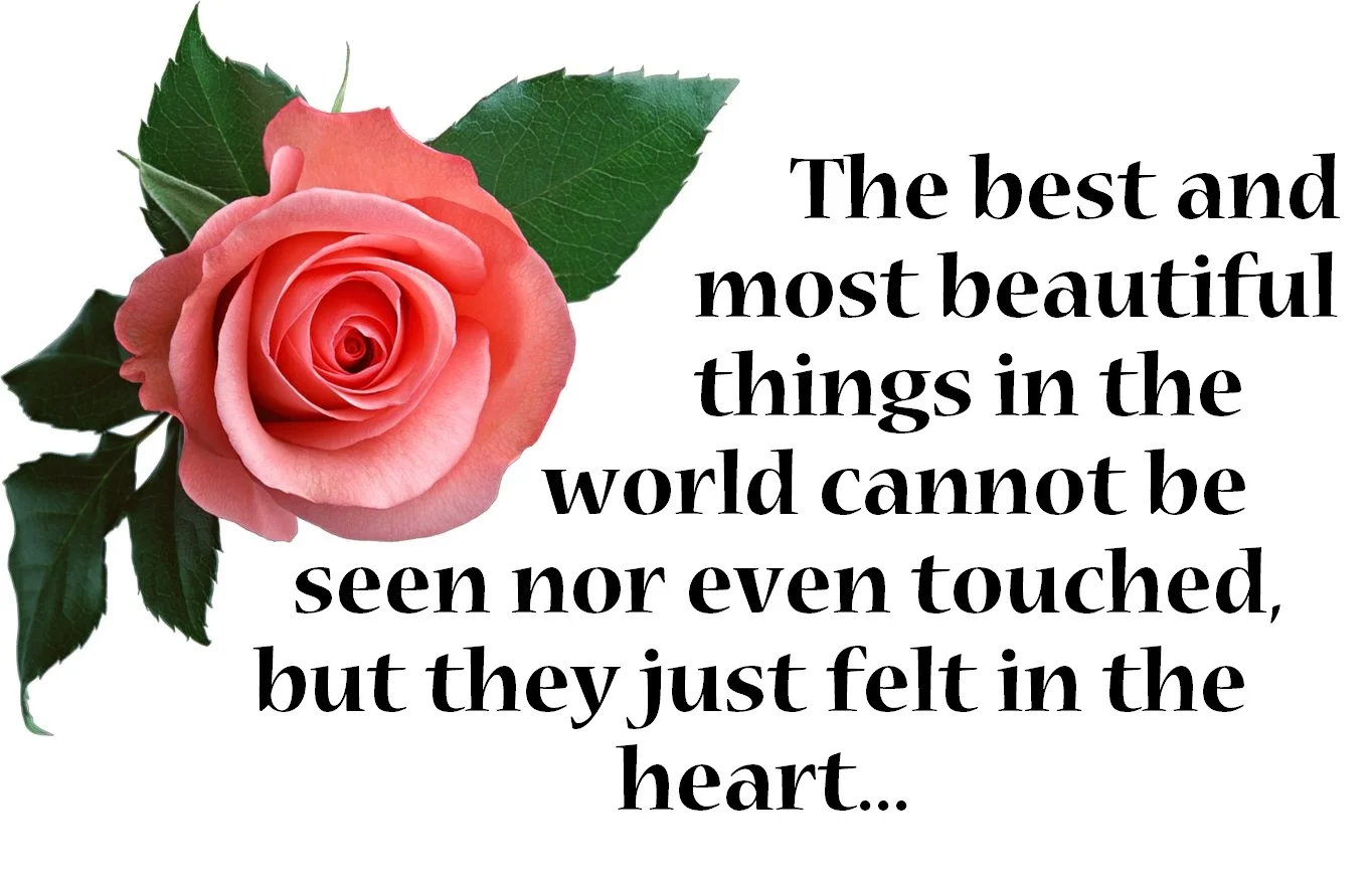 beautiful image with quotes