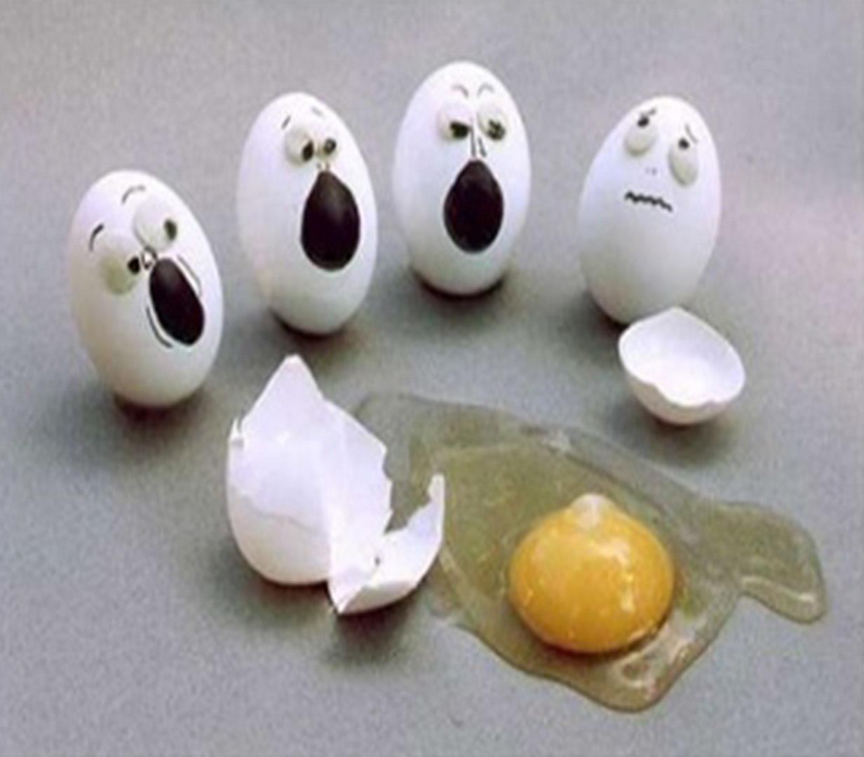 funny eggs image