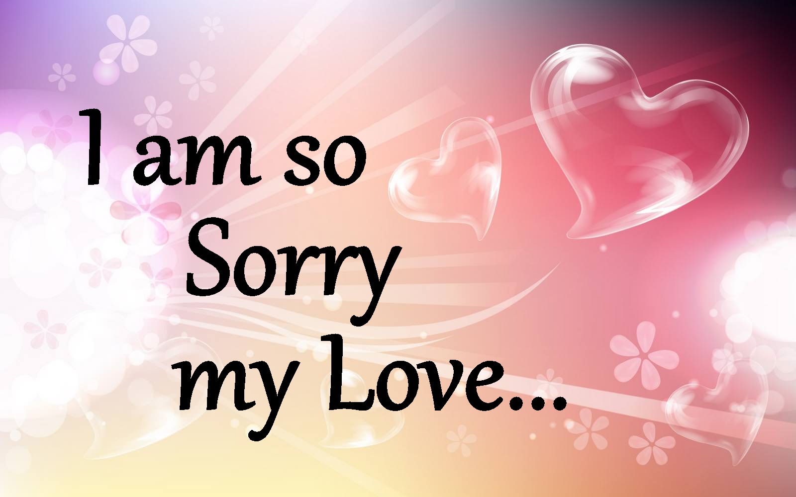 Sorry Images for Love | Sorry Messages For Lovers