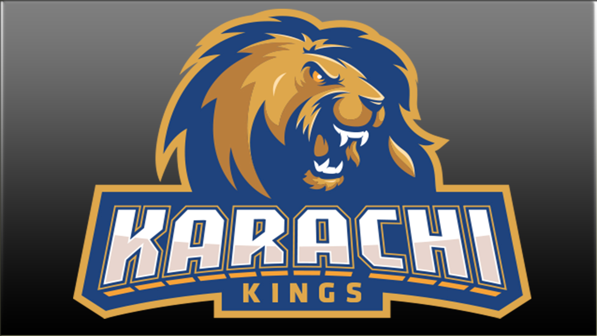 karachi kings logo hd wallpaper 2018