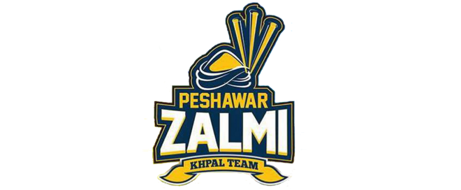 New Zalmi Logo