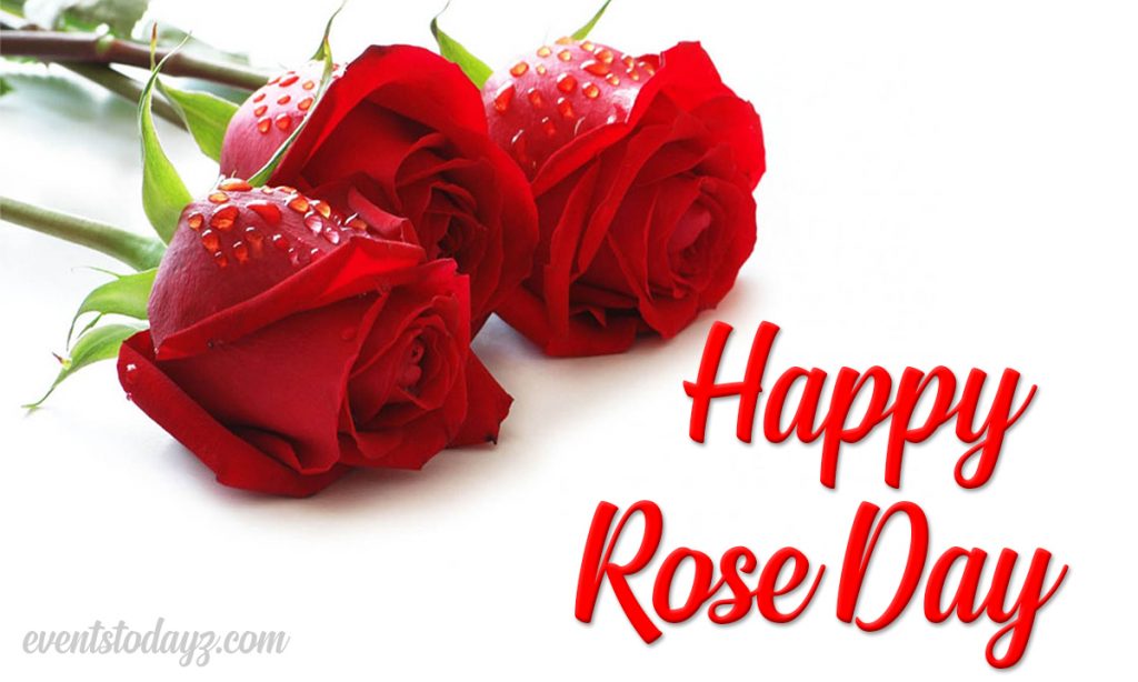 happy rose day image