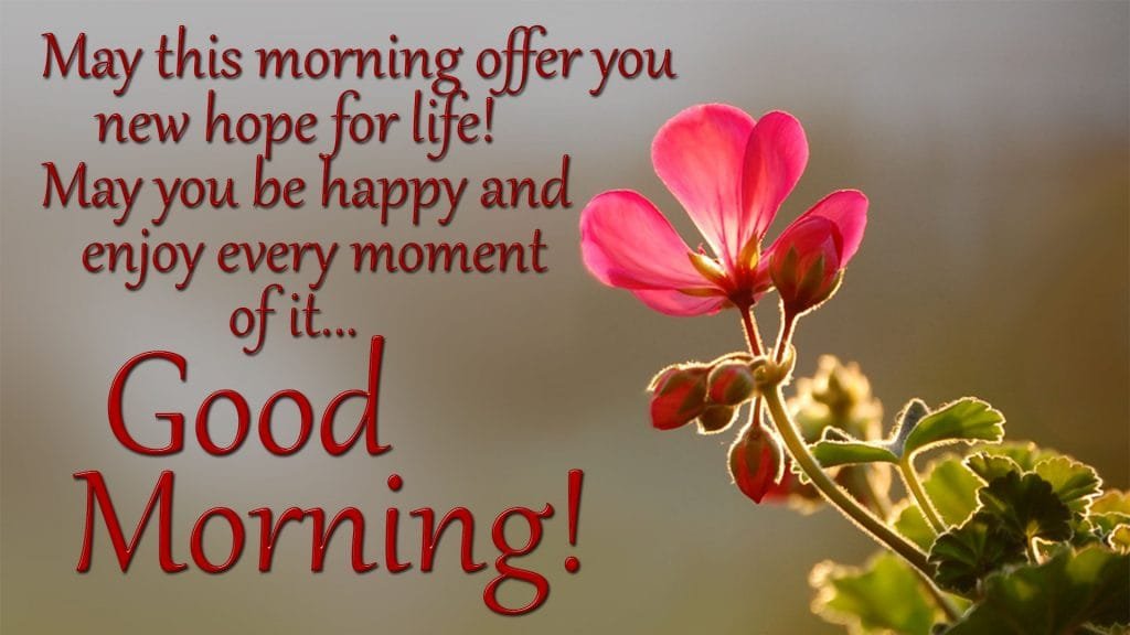 Good Morning Images With Messages Good Morning Greetings Images | Good Morning Wishes & Messages