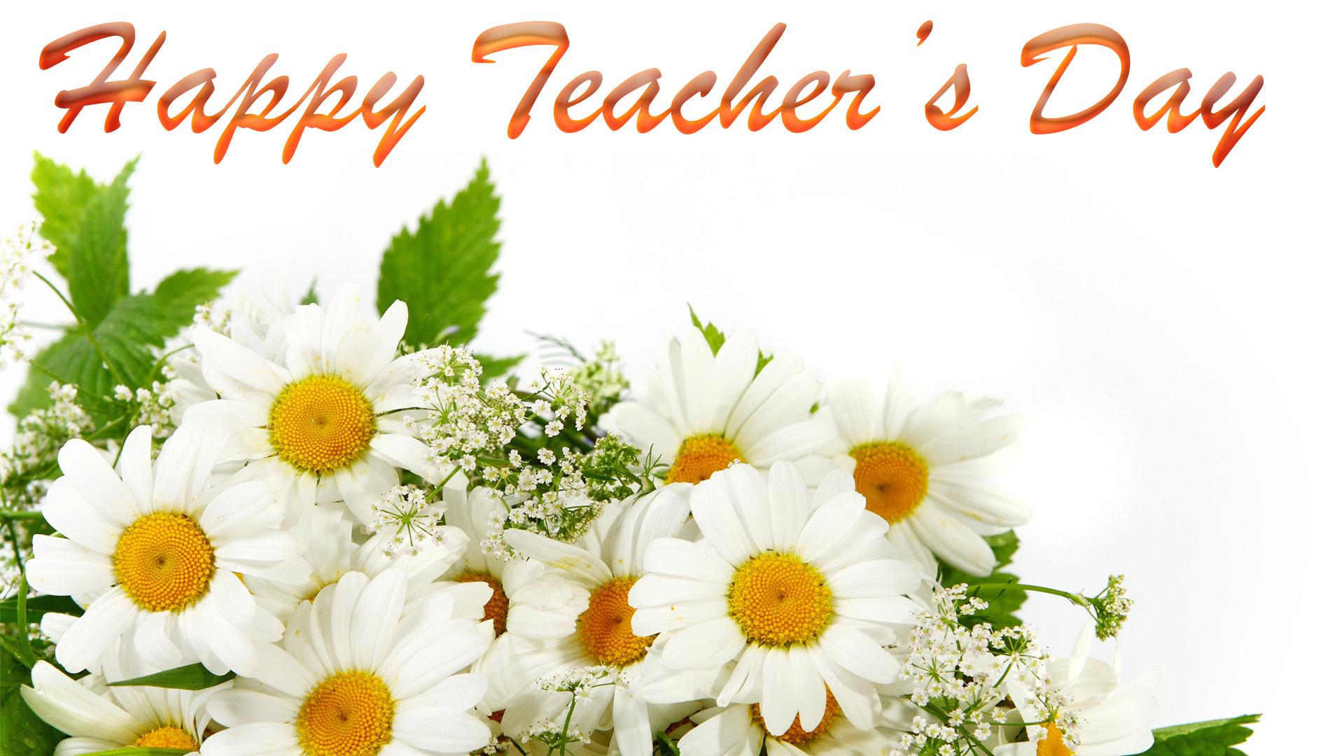 happy teachers day image
