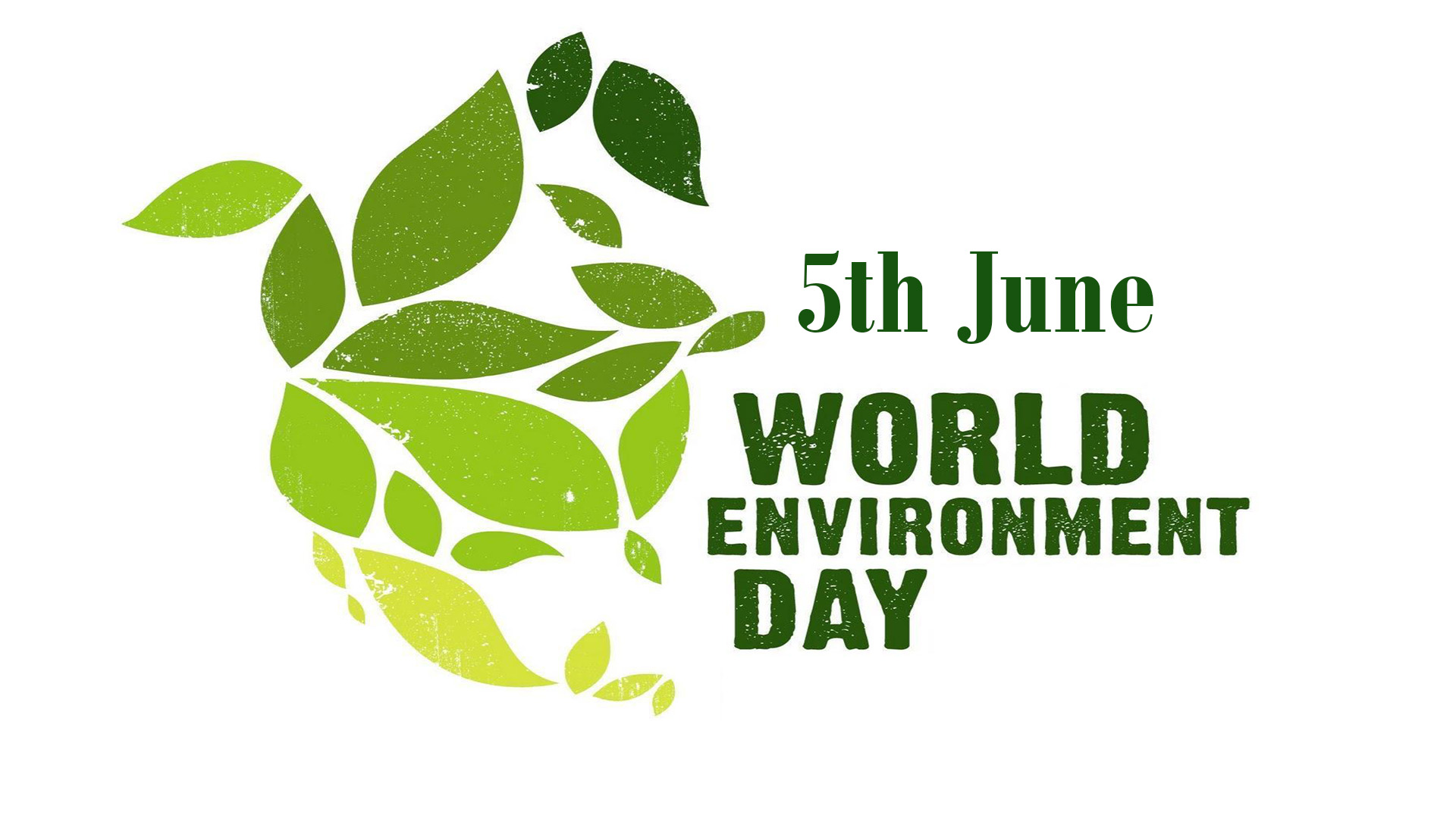 world environment day 2018 image