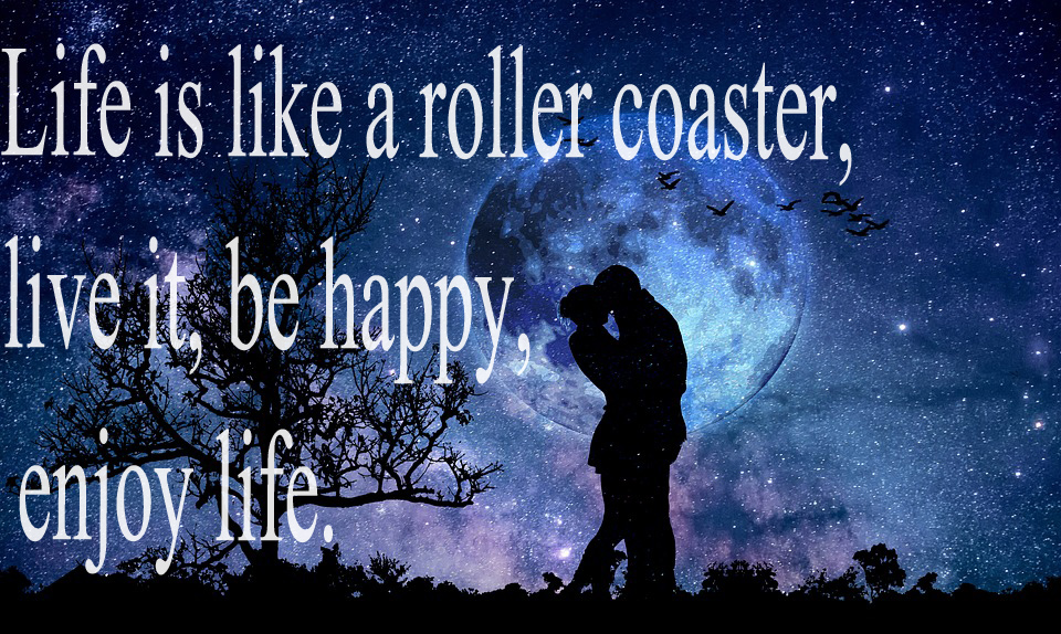 Quote Life is like a roller coaster, live it, be happy, enjoy life.
