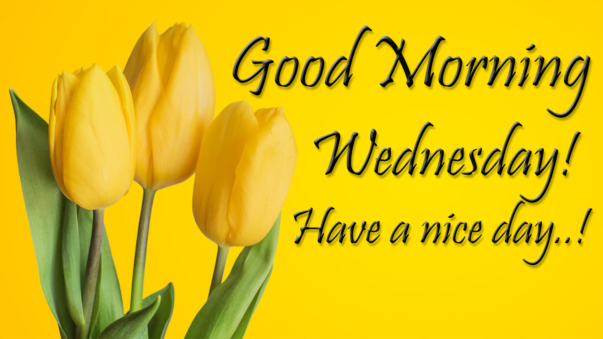 good day wishes for wednesday