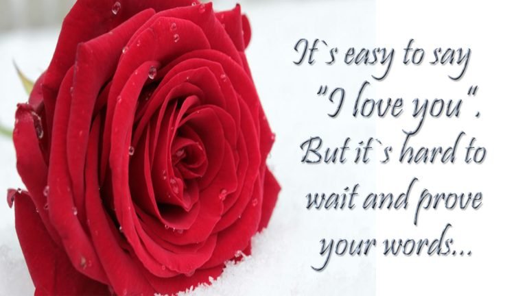 quote of the day hd image