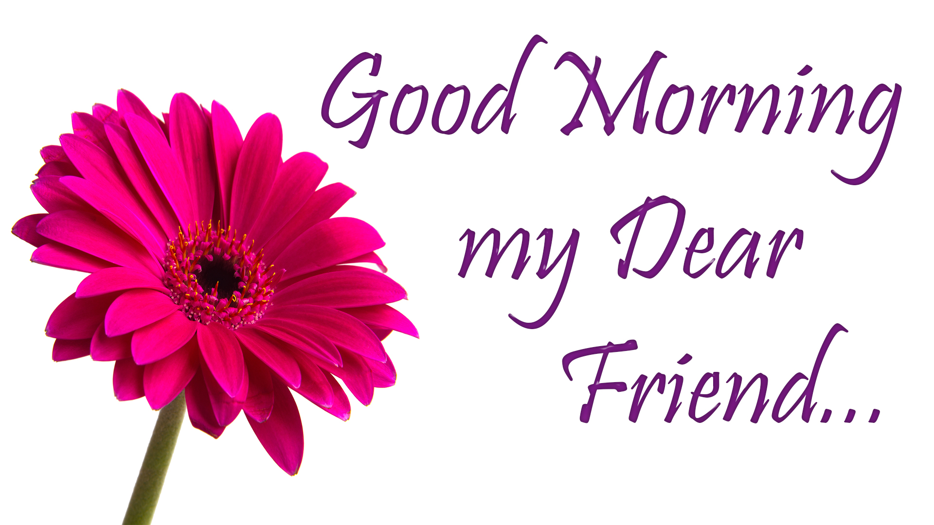 Good Morning Images For Friends | Morning Greetings & Wishes