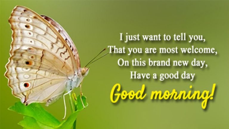 new good morning wishes image