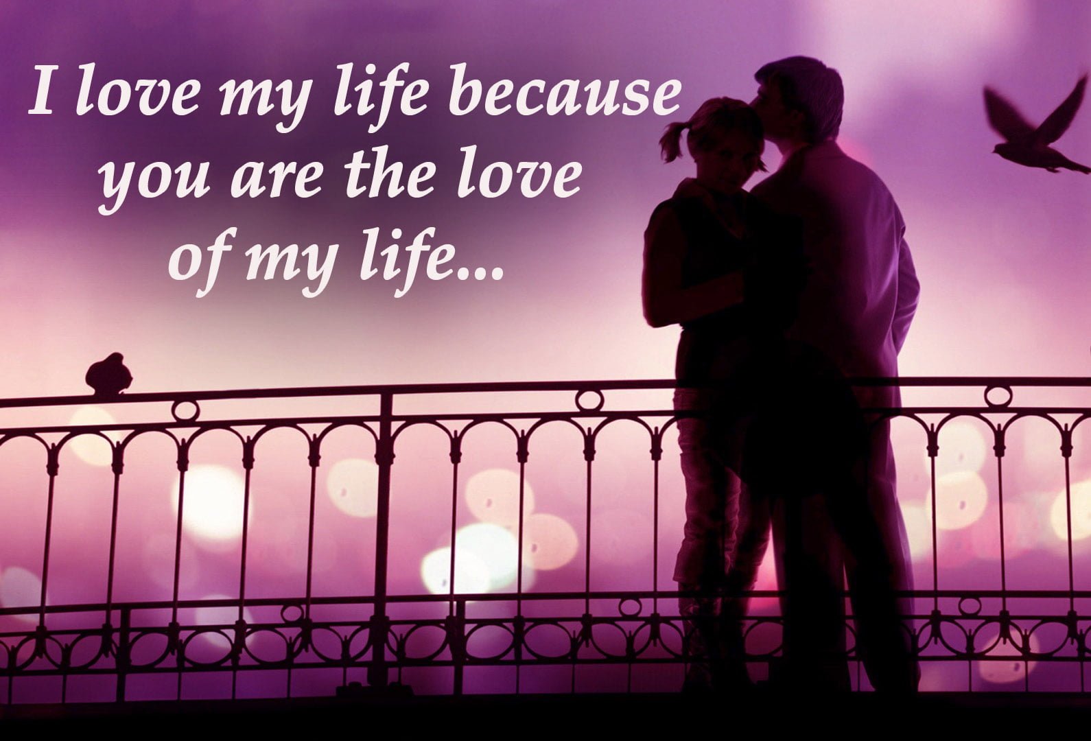 love life quote image