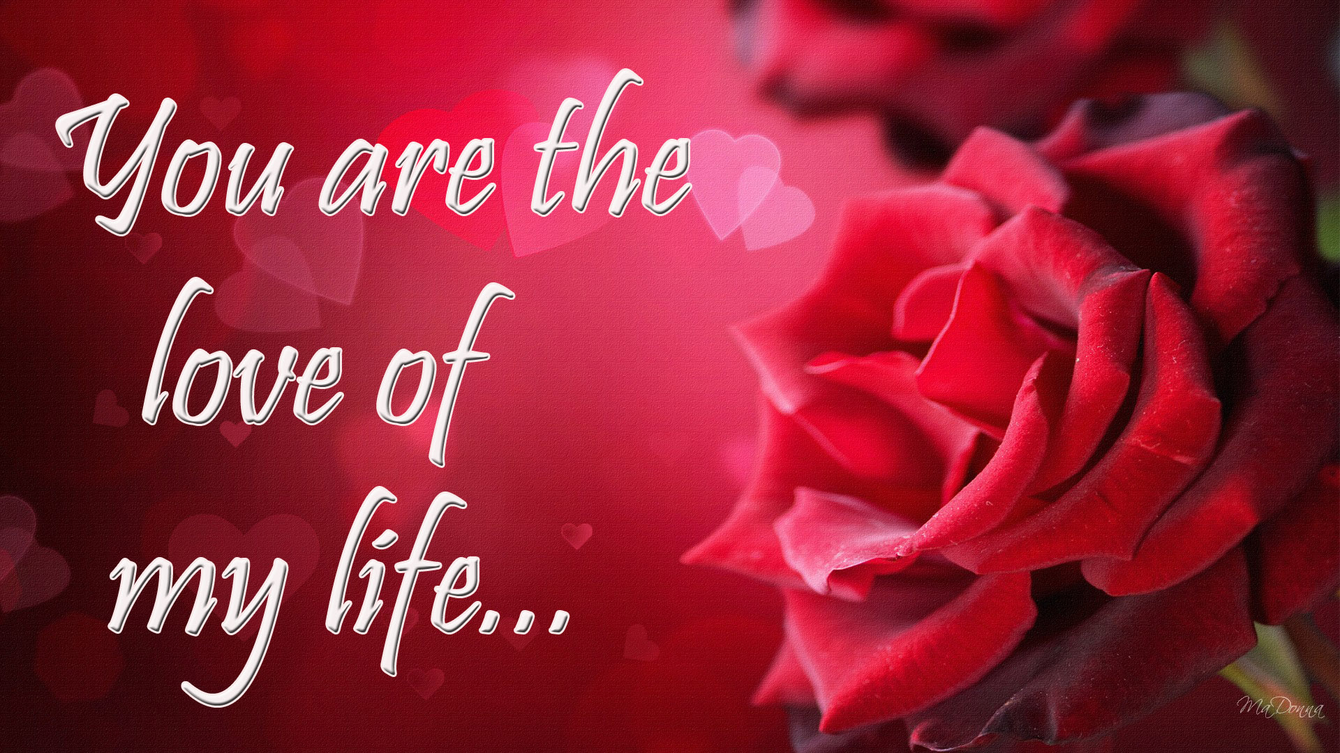 You Are The Love of My Life Images & Pictures | Love Quotes