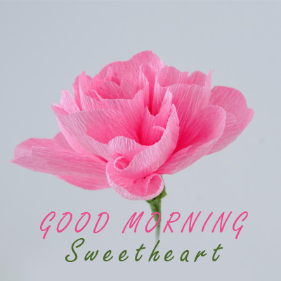 Good Morning Sweetheart Flowers