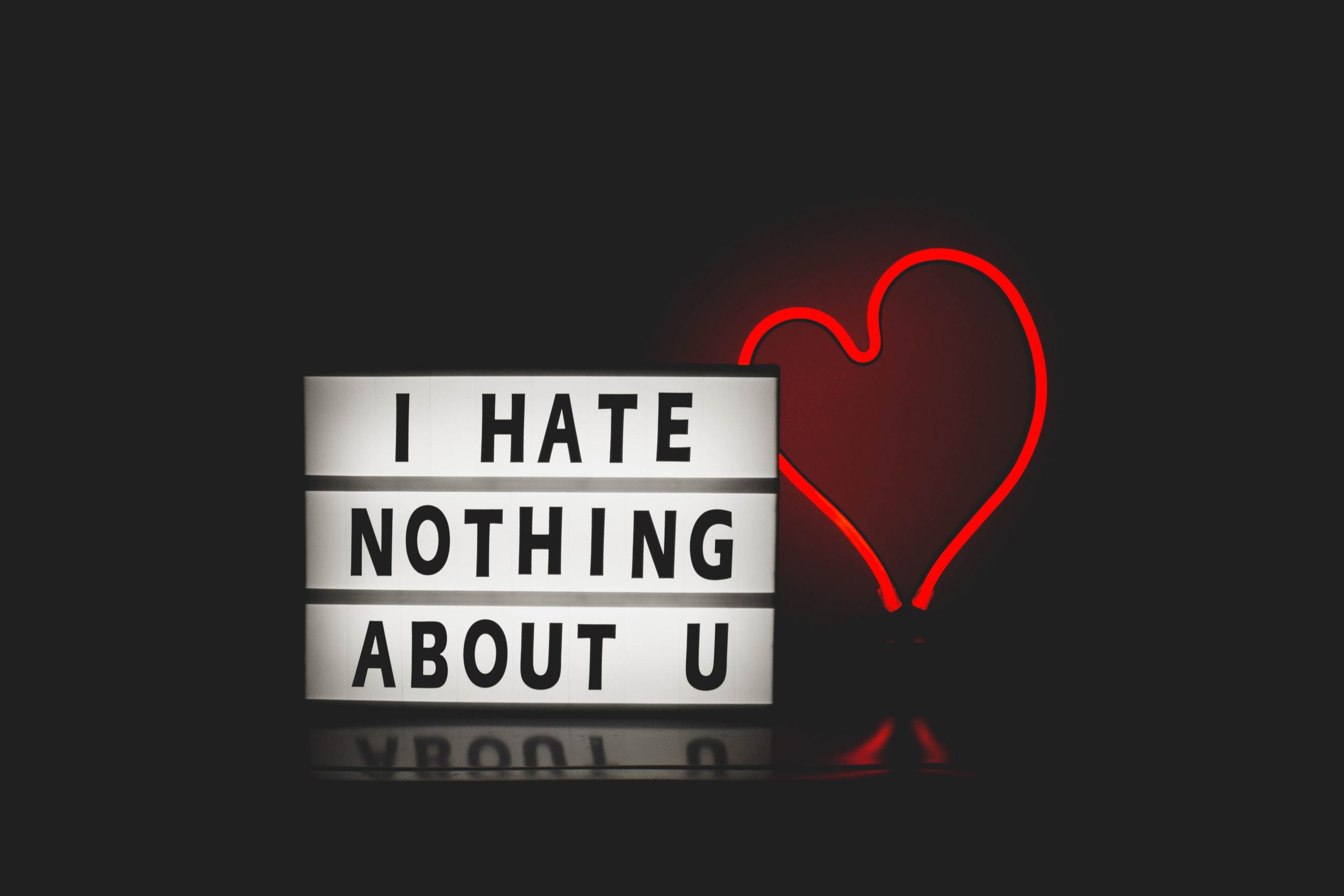 i-hate-nothing-about-you-with-red-heart-light-887353