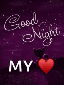 Good night my love