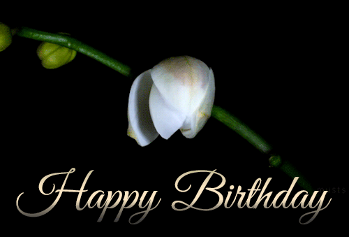 happy-birthday-blooming-gif