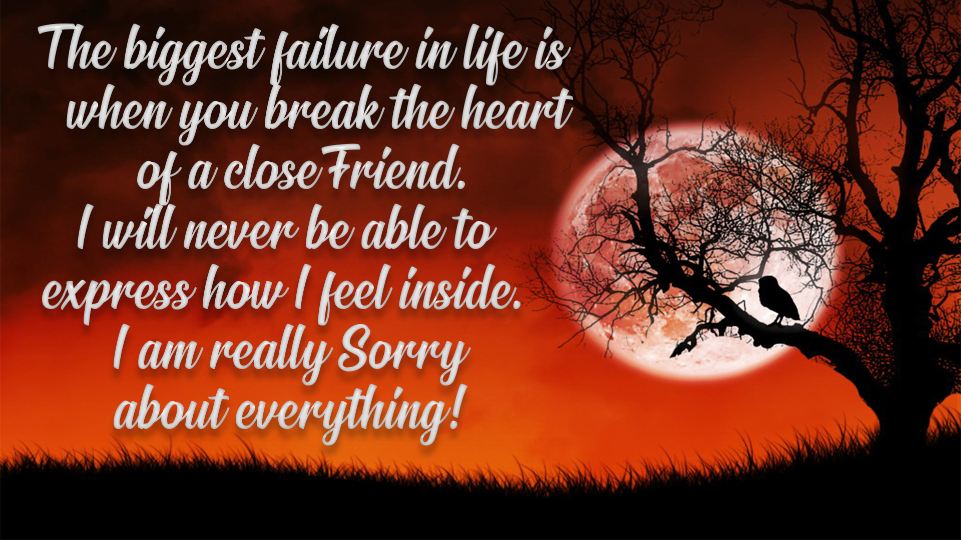 sorry message for friend image