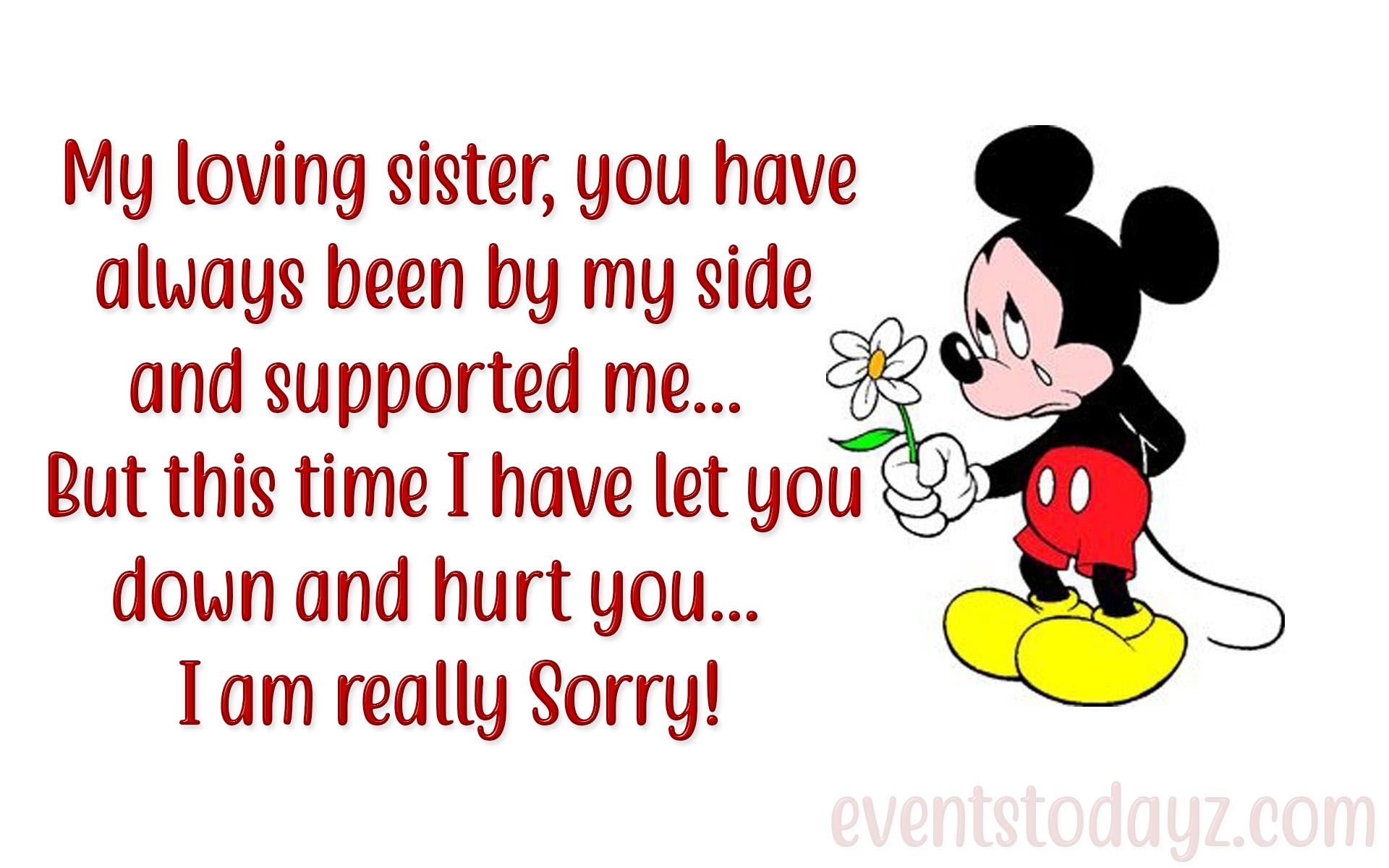 sorry messages for sister image