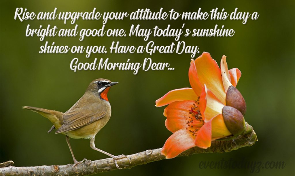 Have A Great Day Quotes & Messages | Morning Greetings