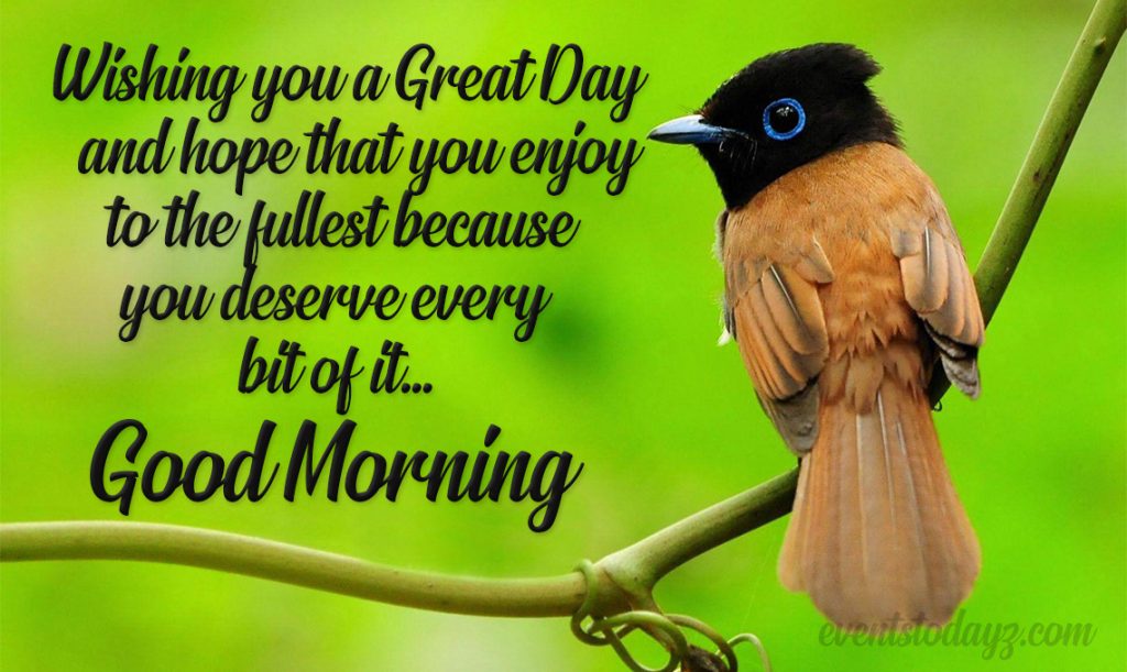 have a great day wishes image
