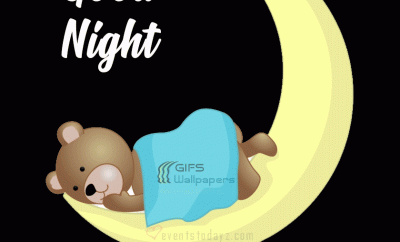 good-night-gif-images22-23