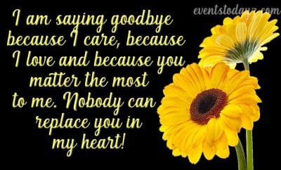goodbye quotes image