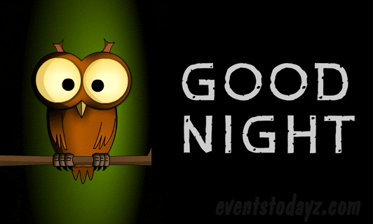 good-night-owl-gif