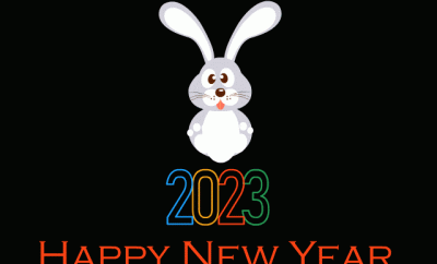 chinese-new-year-animated-images-rabbit