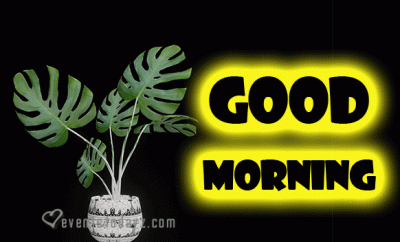 good-morning-black-gif-2024