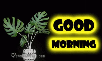 good-morning-black-gif-2024