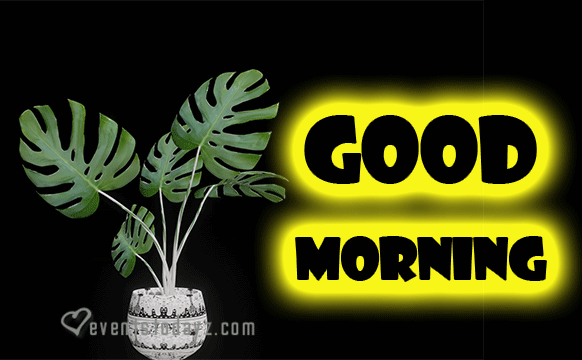 good-morning-black-gif-2024