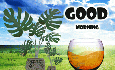 good-morning-gif-moving-images-2024