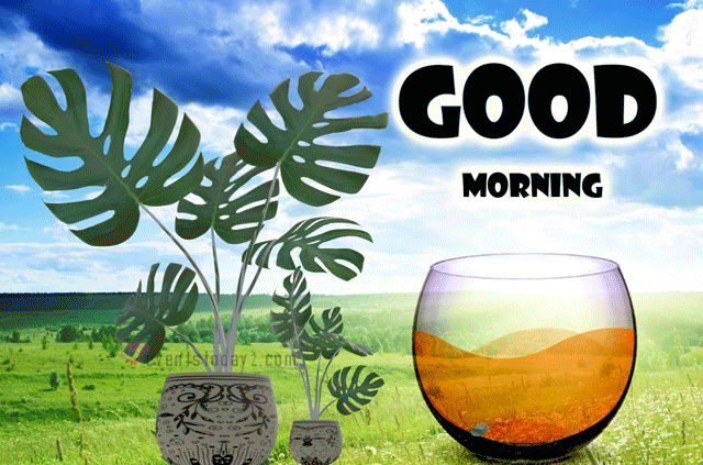 good-morning-gif-moving-images-2024