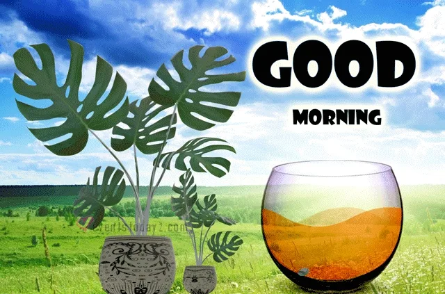 good-morning-gif-moving-images-2024